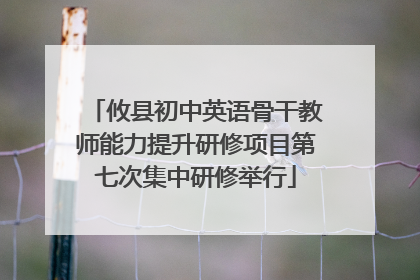 攸县初中英语骨干教师能力提升研修项目第七次集中研修举行