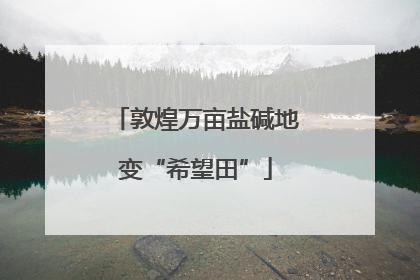 敦煌万亩盐碱地变“希望田”
