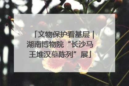 文物保护看基层｜湖南博物院“长沙马王堆汉墓陈列”展