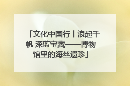 文化中国行丨浪起千帆 深蓝宝藏——博物馆里的海丝遗珍