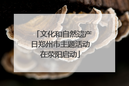文化和自然遗产日郑州市主题活动在荥阳启动