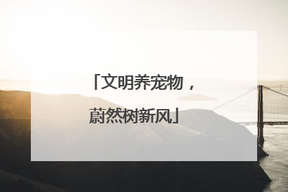 文明养宠物，蔚然树新风