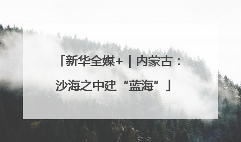 新华全媒+｜内蒙古：沙海之中建“蓝海”
