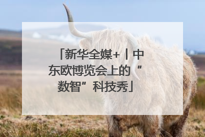 新华全媒+丨中东欧博览会上的“数智”科技秀