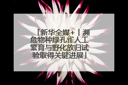 新华全媒+丨濒危物种绿孔雀人工繁育与野化放归试验取得关键进展