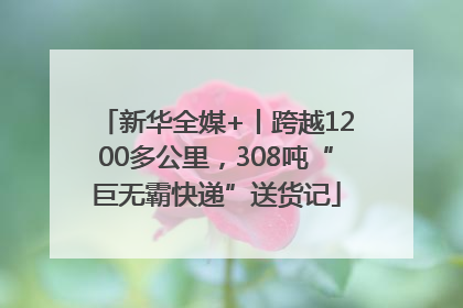 新华全媒+丨跨越1200多公里，308吨“巨无霸快递”送货记