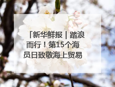 新华鲜报｜踏浪而行！第15个海员日致敬海上贸易“守护人”