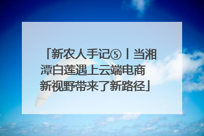新农人手记⑤丨当湘潭白莲遇上云端电商 新视野带来了新路径