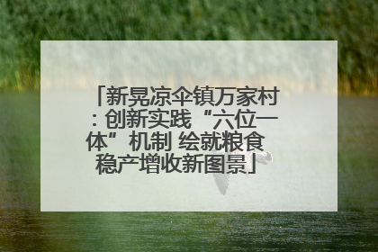新晃凉伞镇万家村：创新实践“六位一体”机制 绘就粮食稳产增收新图景