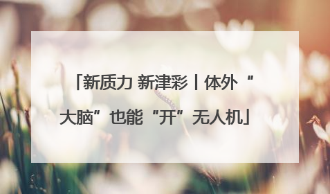 新质力 新津彩丨体外“大脑”也能“开”无人机