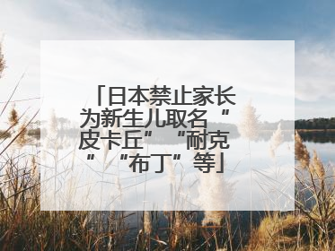 日本禁止家长为新生儿取名“皮卡丘”“耐克”“布丁”等