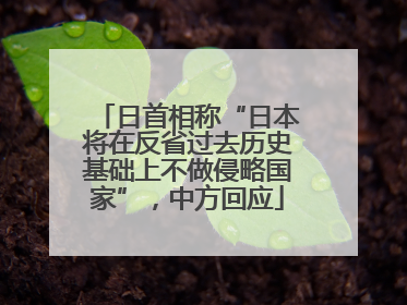 日首相称“日本将在反省过去历史基础上不做侵略国家”，中方回应