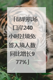 昆明机场口岸240小时过境免签入境人数同比增长977%