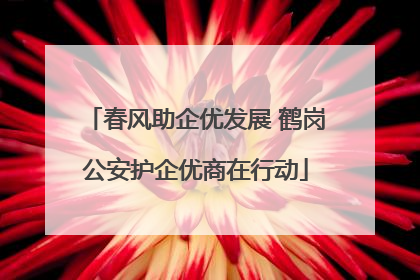 春风助企优发展 鹤岗公安护企优商在行动
