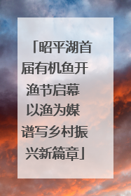 昭平湖首届有机鱼开渔节启幕 以渔为媒 谱写乡村振兴新篇章