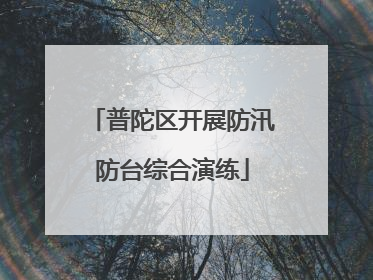 普陀区开展防汛防台综合演练
