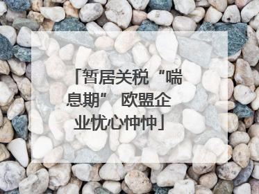 暂居关税“喘息期” 欧盟企业忧心忡忡