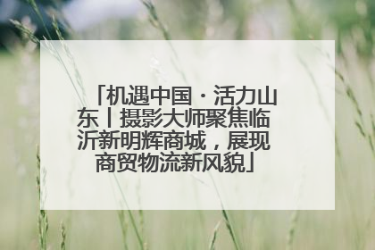 机遇中国・活力山东丨摄影大师聚焦临沂新明辉商城，展现商贸物流新风貌