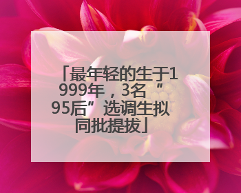 最年轻的生于1999年，3名“95后”选调生拟同批提拔