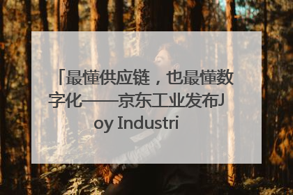 最懂供应链，也最懂数字化——京东工业发布Joy Industrial 重塑工业未来
