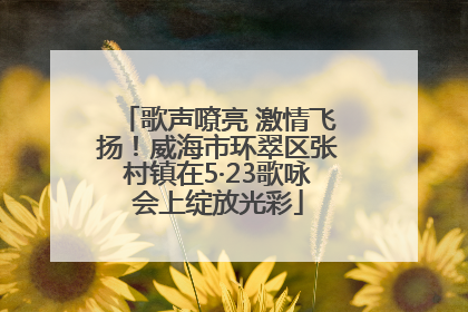 歌声嘹亮 激情飞扬！威海市环翠区张村镇在5·23歌咏会上绽放光彩