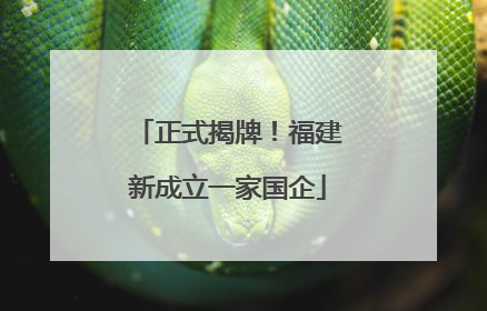 正式揭牌！福建新成立一家国企