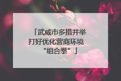武威市多措并举打好优化营商环境“组合拳”