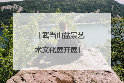 武当山盆景艺术文化展开展