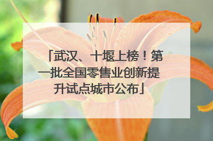 武汉、十堰上榜！第一批全国零售业创新提升试点城市公布