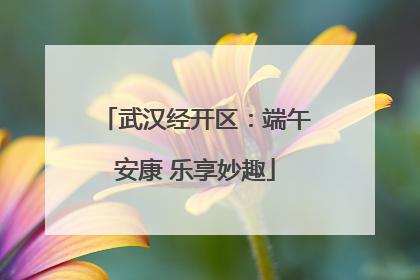 武汉经开区：端午安康 乐享妙趣