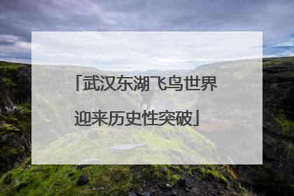 武汉东湖飞鸟世界迎来历史性突破