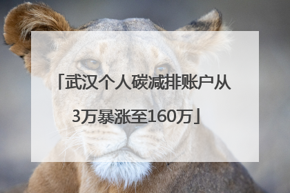 武汉个人碳减排账户从3万暴涨至160万