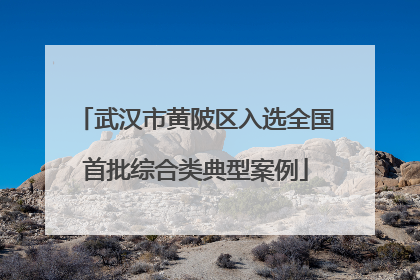 武汉市黄陂区入选全国首批综合类典型案例