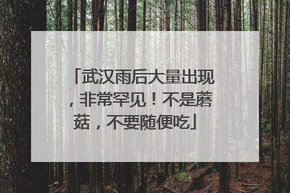武汉雨后大量出现，非常罕见！不是蘑菇，不要随便吃