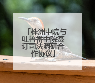 株洲中院与吐鲁番中院签订司法调研合作协议
