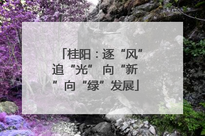 桂阳：逐“风”追“光” 向“新”向“绿”发展