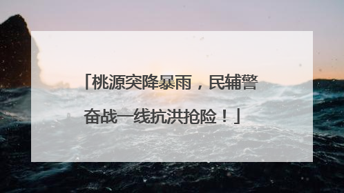 桃源突降暴雨，民辅警奋战一线抗洪抢险！