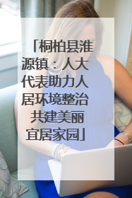 桐柏县淮源镇：人大代表助力人居环境整治 共建美丽宜居家园
