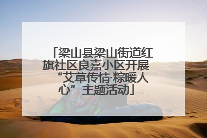 梁山县梁山街道红旗社区良嘉小区开展“艾草传情·粽暖人心”主题活动