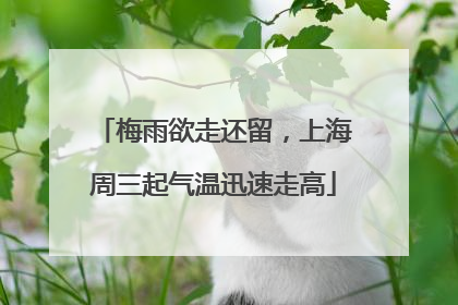 梅雨欲走还留，上海周三起气温迅速走高