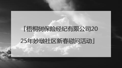 梧桐树保险经纪有限公司2025年妙墩社区新春慰问活动