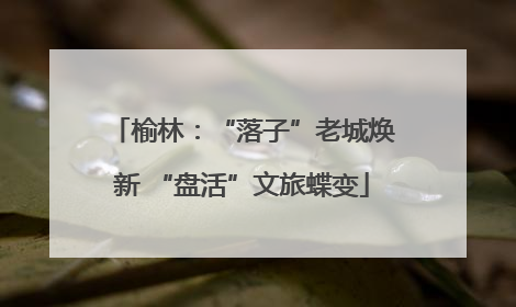 榆林：“落子”老城焕新 “盘活”文旅蝶变