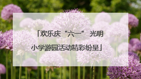 欢乐庆“六一” 光明小学游园活动精彩纷呈