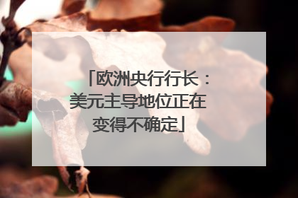 欧洲央行行长：美元主导地位正在变得不确定
