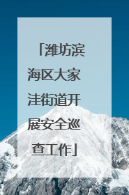 潍坊滨海区大家洼街道开展安全巡查工作