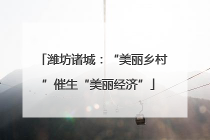 潍坊诸城：“美丽乡村”催生“美丽经济”