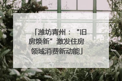 潍坊青州：“旧房焕新”激发住房领域消费新动能