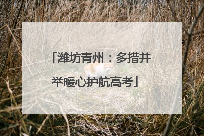 潍坊青州：多措并举暖心护航高考