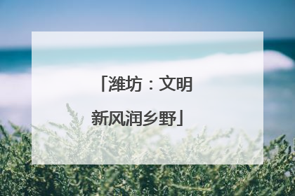 潍坊：文明新风润乡野