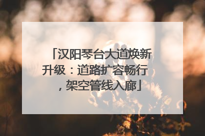 汉阳琴台大道焕新升级：道路扩容畅行，架空管线入廊